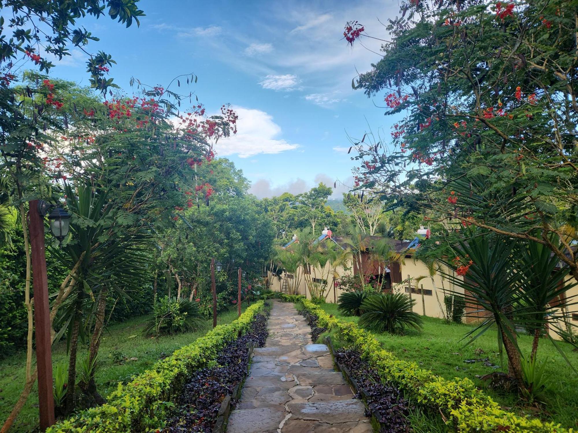 Las Jawas Lodge Sauce Exterior foto